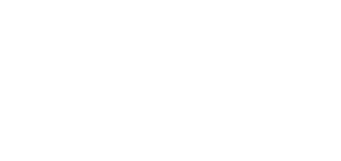 Dreams Park Show