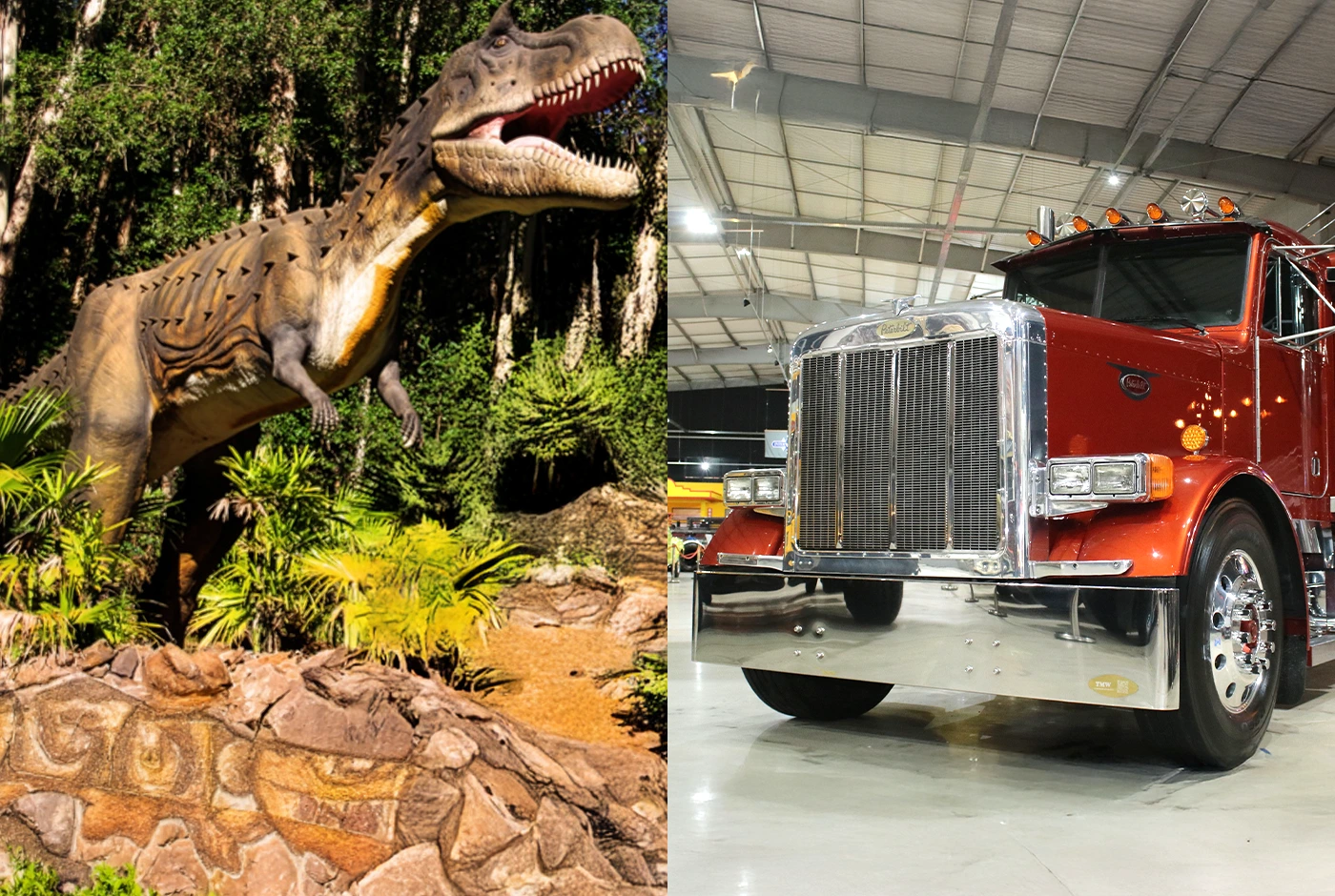 Combo Dino + Museu do Caminhão