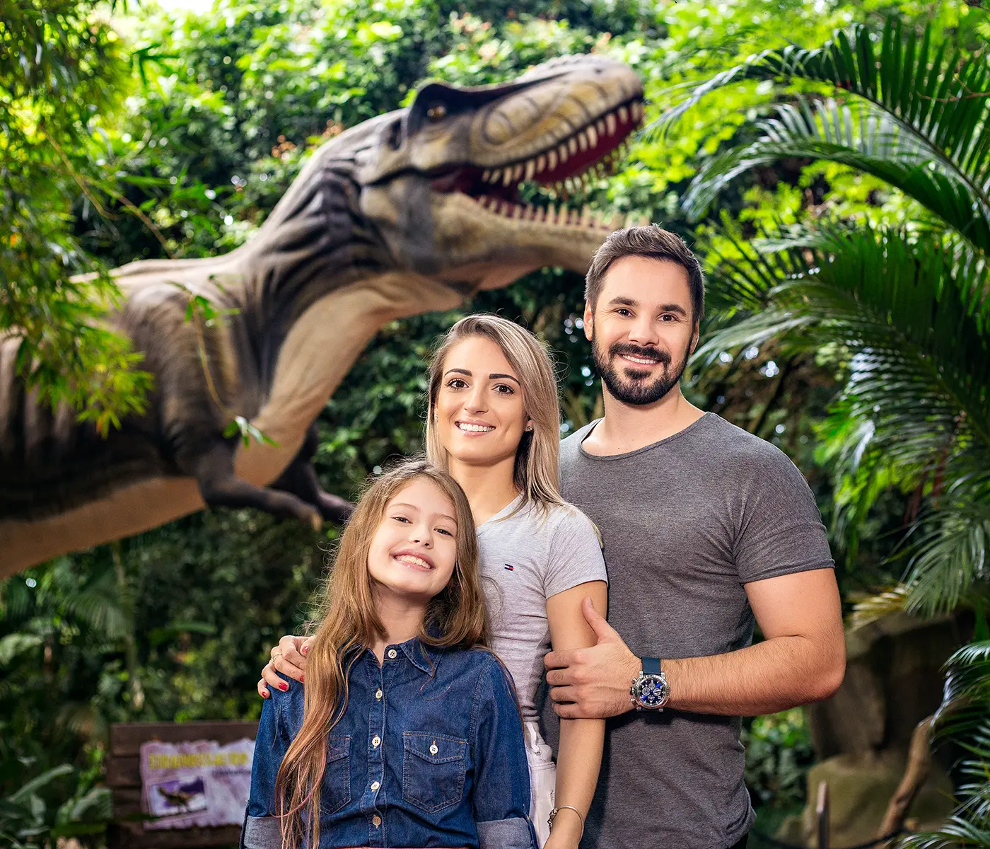 Vale dos Dinossauros Individual