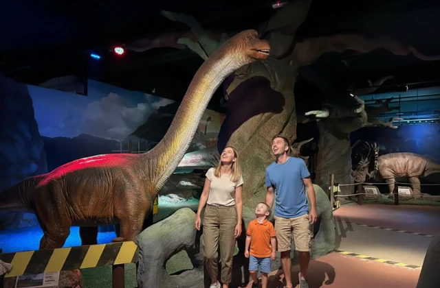 Dinossauros Herbívoros